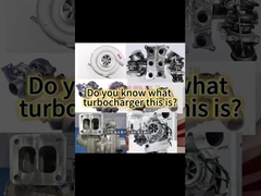 เครื่องยนต์เดียว